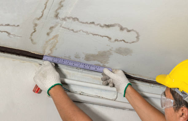 Reliable Water Damage Repair contractor in Phillipsburg, NJ by Hirex Water Damage